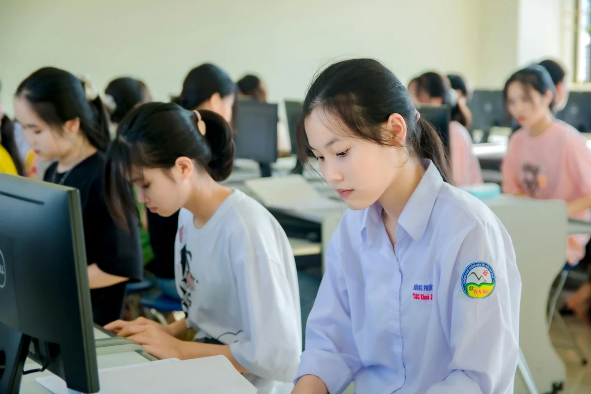 频道目录的题材分区示意